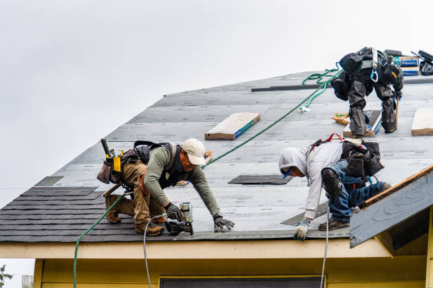 Professional Storm Damage Roof Repair technician working in North Fork, AZ
